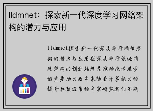 lldmnet：探索新一代深度学习网络架构的潜力与应用